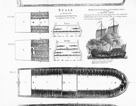 Plan and sections of a slave ship