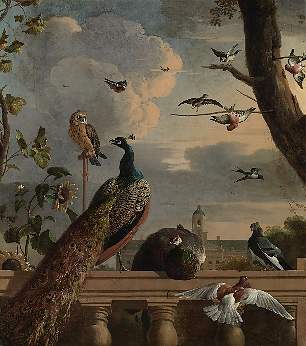Vogels bij een balustrade met in de achtergrond het Stadhuis / Melchior d' Hondecoeter (1636-1695)