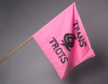 De Trans Trots vlag van vreer