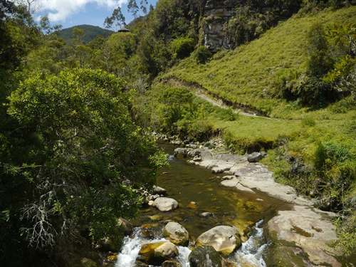De bergen in de regio Páramos verstrekken 70% van de watervoorziening voor heel Bogotá
