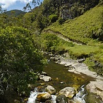 De bergen in de regio Páramos verstrekken 70% van de watervoorziening voor heel Bogotá