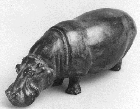 Nijlpaard - Jaap Kaas