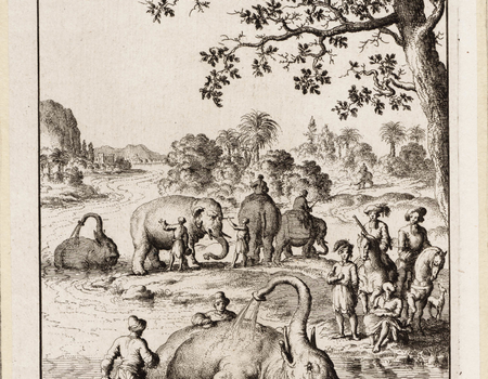 Wassching der elefanten