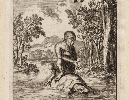 Een aap wordt op de rug van een schildpad door het water vervoerd