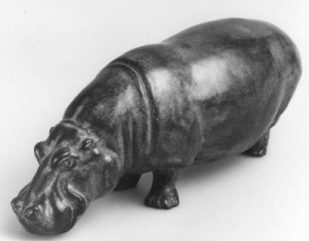 #020today: Geboorte nijlpaard Tanja