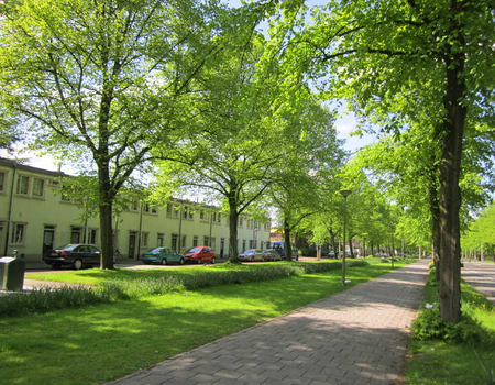 De huizen aan de Hugo de Vrieslaan.