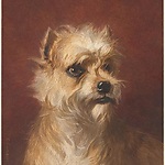 Een hond van de familie Willet, 1800 - 1899