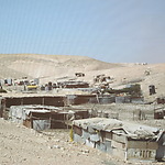 Bedoeinen