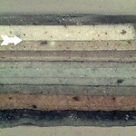 Afb. 27 Een verfmonster van het raamkozijn laat zien hoe pas vrij recent het houtwerk wit geschilderd werd (lagen boven de pijl). Uit andere monsters blijkt dat dit plaatsvond na verwijdering van de tralies.
