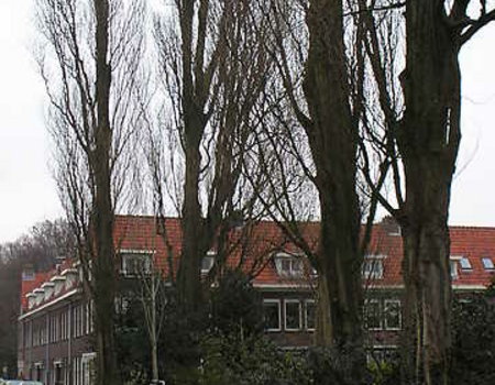 Bomen Radioweg