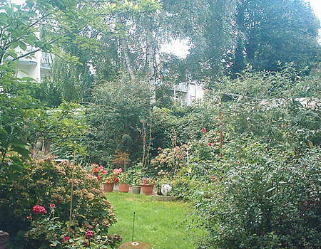 De tuin