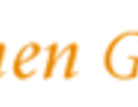 VanEeghengroup_logo