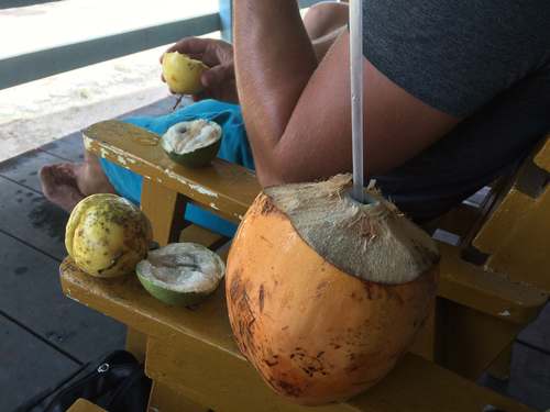 Een mangi, een sterappel en een kokosnoot met een rietje. Foto Hanan de Sain