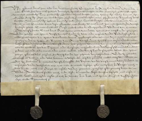 Transportbrief van het Convent en zijn bezittingen: 1579 Maart 31 Overdracht aan Regenten van het Weeshuis van het Convent met huis en woningen en alle andere goederen, credietenen uitstaande schulden, door de Mater met 14 conventualen van Sint Lucien.