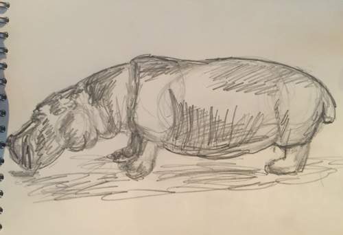 Het nijlpaard staat op papier: log, zwaar en aandoenlijk