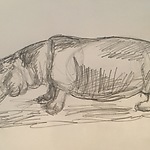 Het nijlpaard staat op papier: log, zwaar en aandoenlijk