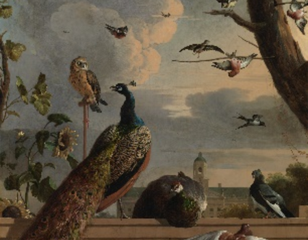 Vogels bij een balustrade met in de achtergrond het Stadhuis / Melchior d' Hondecoeter (1636-1695)