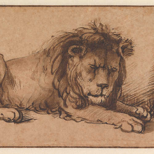 Liggende leeuw (toegeschreven aan) Samuel van Hoogstraten - Collectie Amsterdam Museum [TA 10286]