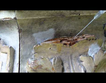 filmed detail of acanthus leaf during treatment